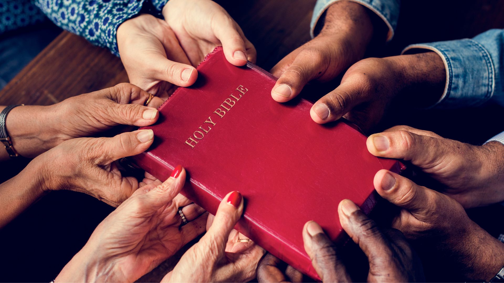 Scripture engagement and Bible study across languages